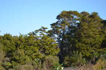 Lots 2-5/117 Arran Point Parade, Orewa