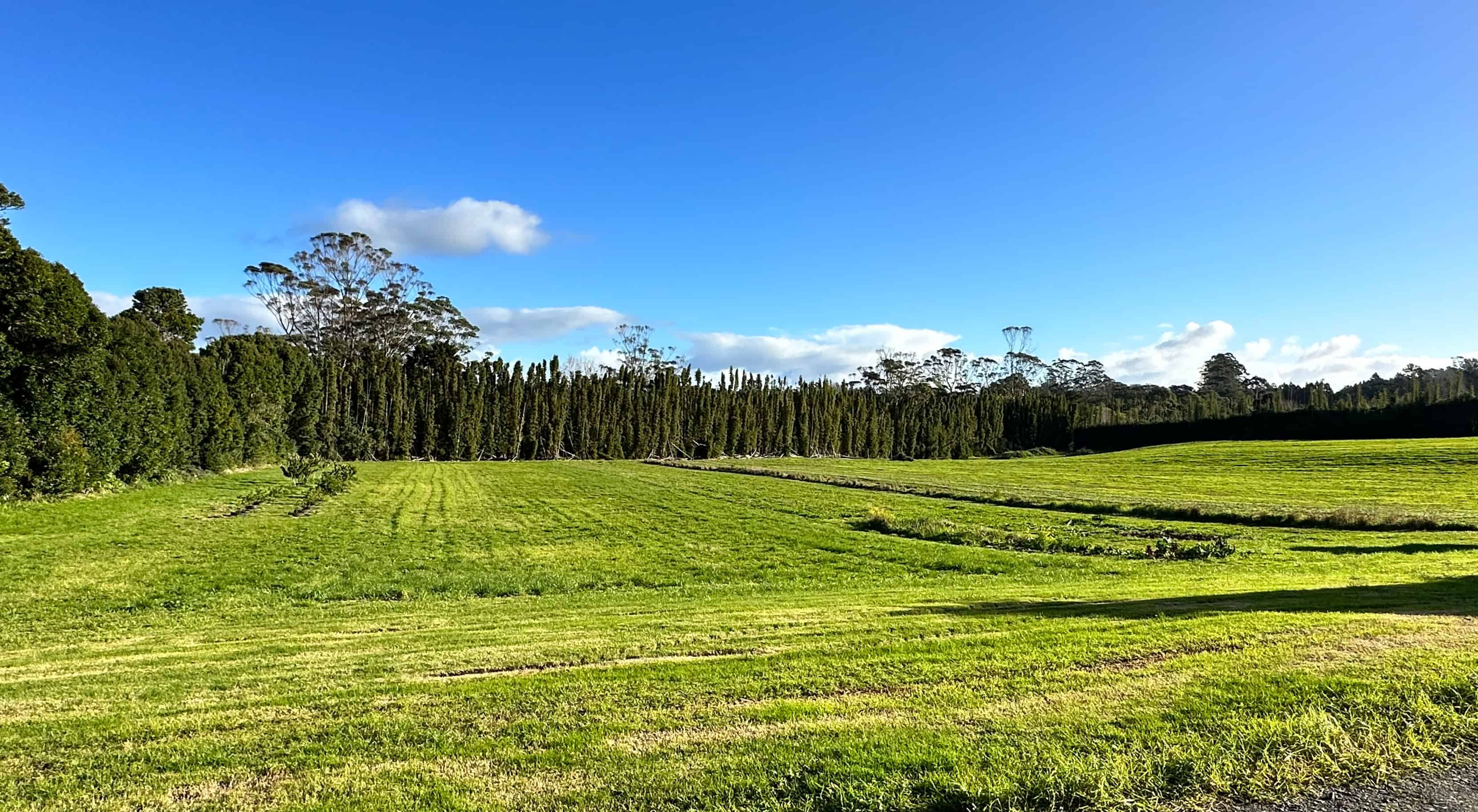 169 Waipapa West Road, Kerikeri, Far North For Sale realestate.co.nz