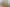 Auckland - Address withheld