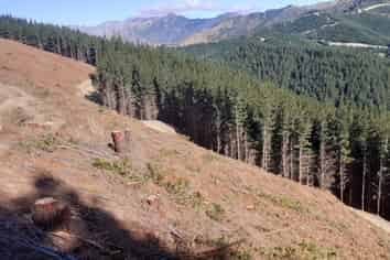 3586C Waihopai Valley Rd, Waihopai Valley