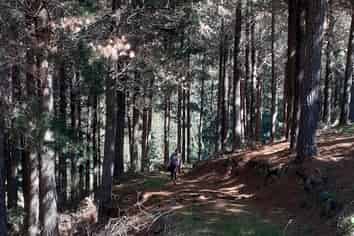 3586C Waihopai Valley Rd, Waihopai Valley