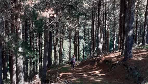 3586C Waihopai Valley Rd, Waihopai Valley