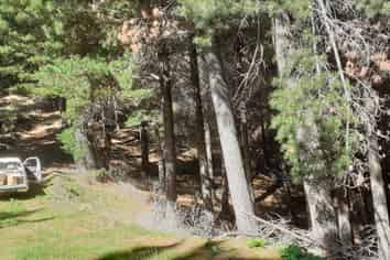 3586C Waihopai Valley Rd, Waihopai Valley