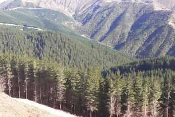 3586C Waihopai Valley Rd, Waihopai Valley