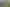 3.95ha-Land Parcel in Papatoetoe