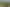 3.95ha-Land Parcel in Papatoetoe