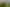 3.95ha-Land Parcel in Papatoetoe