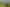 3.95ha-Land Parcel in Papatoetoe