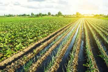 Well Established Agri Sales & Service Business
