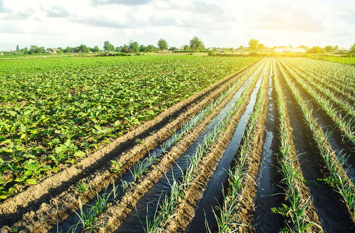 Well Established Agri Sales & Service Business