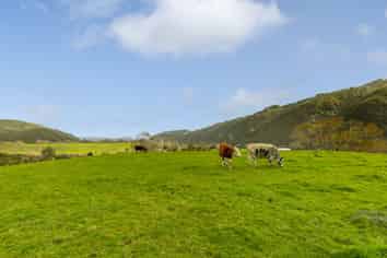 71 Poads Road, LEVIN