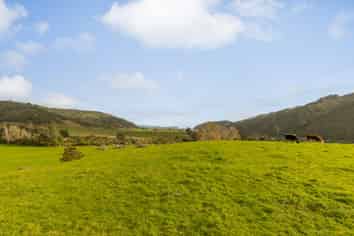 71 Poads Road, LEVIN