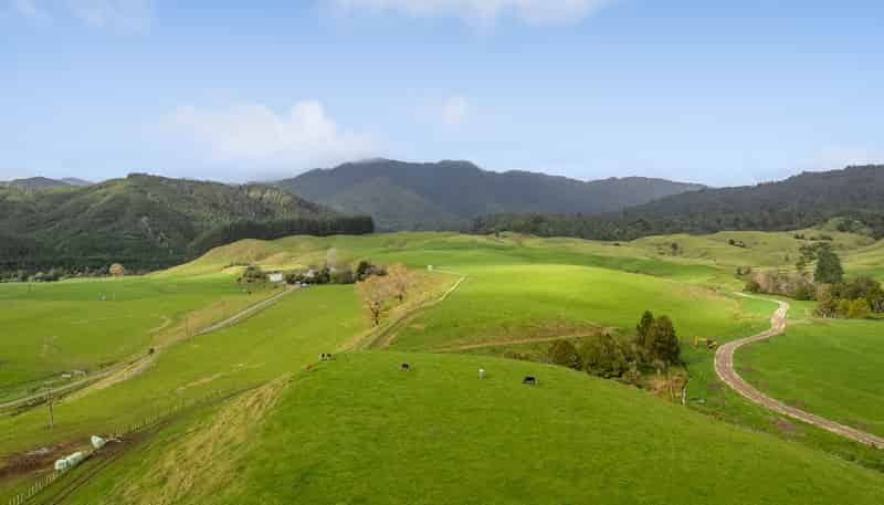 71 Poads Road, LEVIN