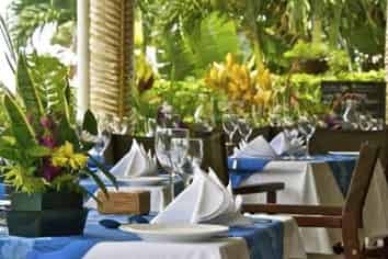 Live The Dream In Rarotonga