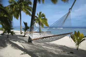 Live The Dream In Rarotonga