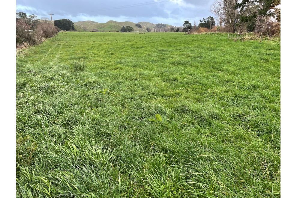 160 Kohinui Road, Pahiatua, Tararua For Sale realestate.co.nz