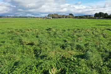 Lot 2 22 Pahiatua Pongaroa Road , Pahiatua
