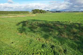 Lot 2 22 Pahiatua Pongaroa Road , Pahiatua