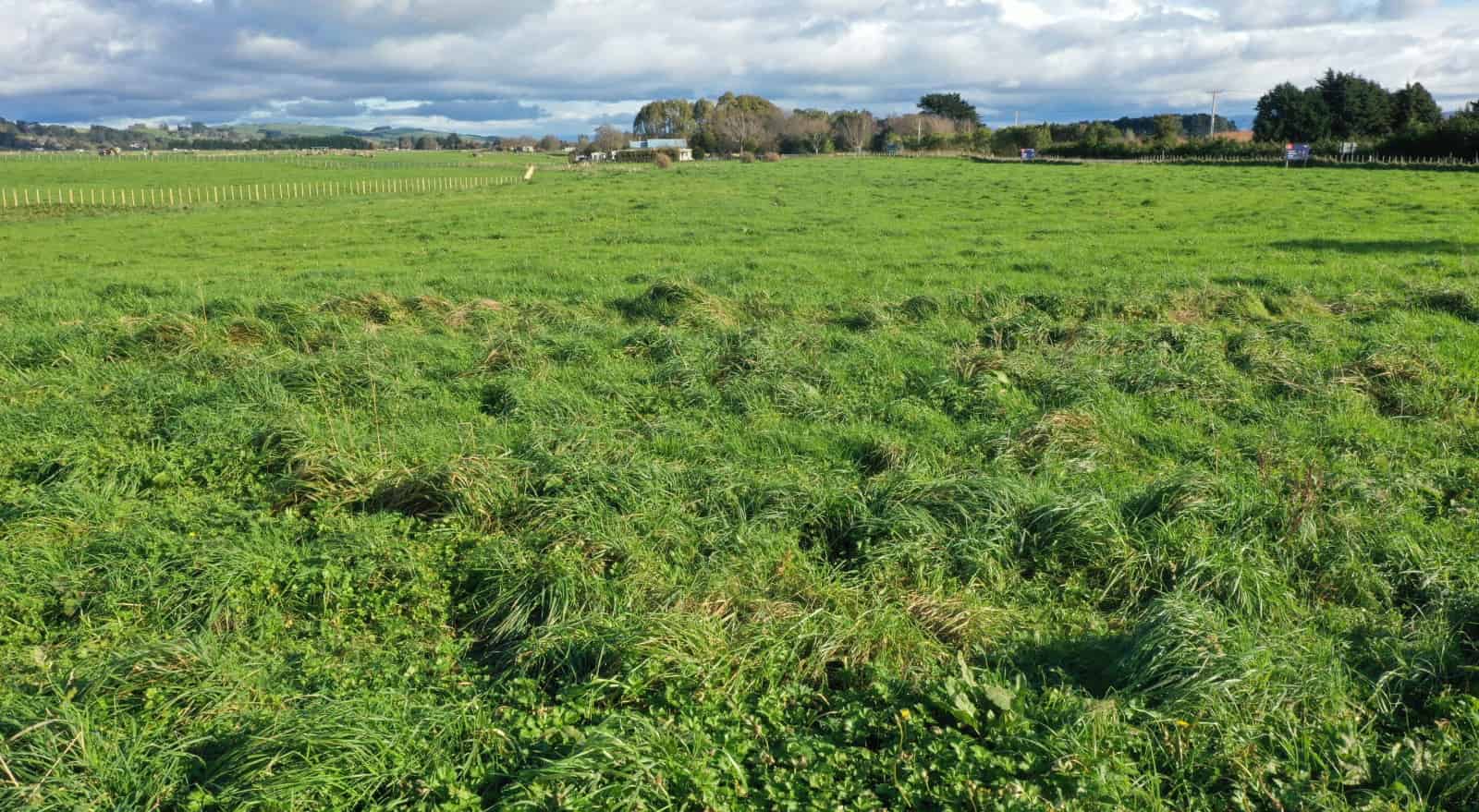 22 Pahiatua Pongaroa Road (Lots 2 4), Pahiatua, Tararua For Sale