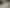 Brand new blank canvas - Papamoa  