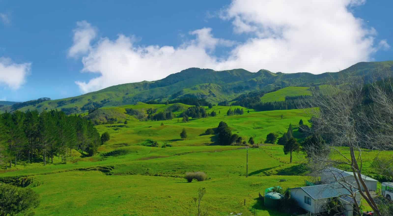 2288 Waihue Road, Dargaville, Kaipara For Sale realestate.co.nz