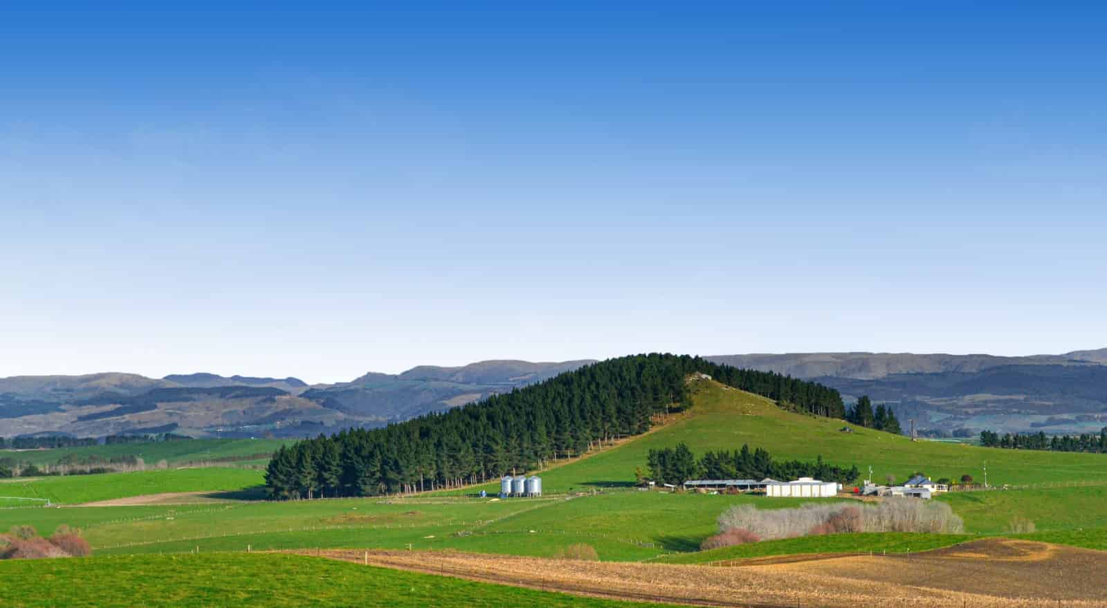 144 Taipo Road, Totara, Waitaki For Sale realestate.co.nz