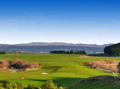 144 Taipo Road, Maheno