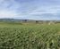 446 Priest Road, Duntroon, Waitaki, Otago