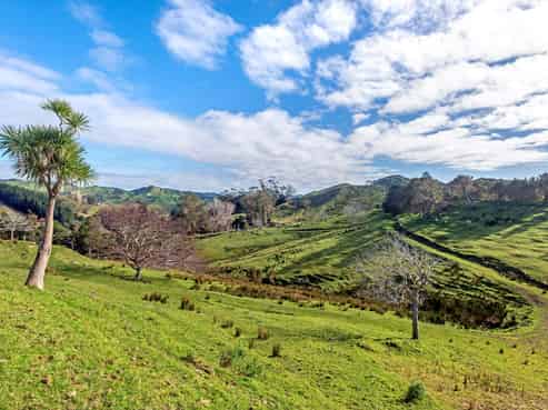 758 Glenroy Road, Whangara