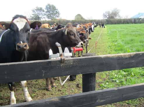 4272 State Highway 26, Waihou