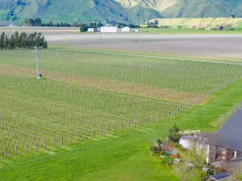 224 Te Muna Road, Martinborough