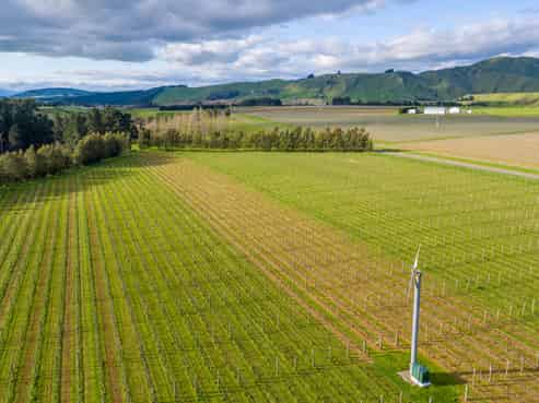 224 Te Muna Road, Martinborough