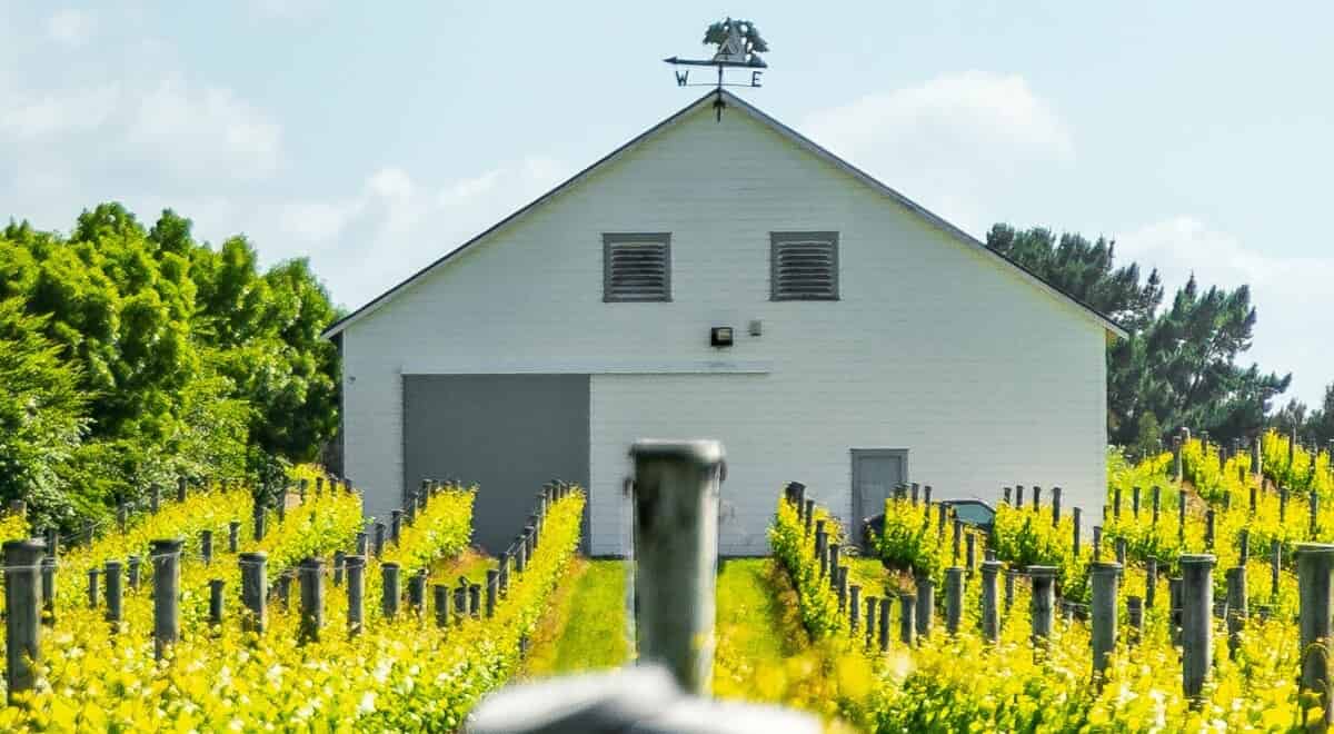 224 Te Muna Road, Martinborough, South Wairarapa For Sale