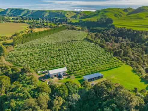 466 Ruakokoputuna Road, Cape Palliser