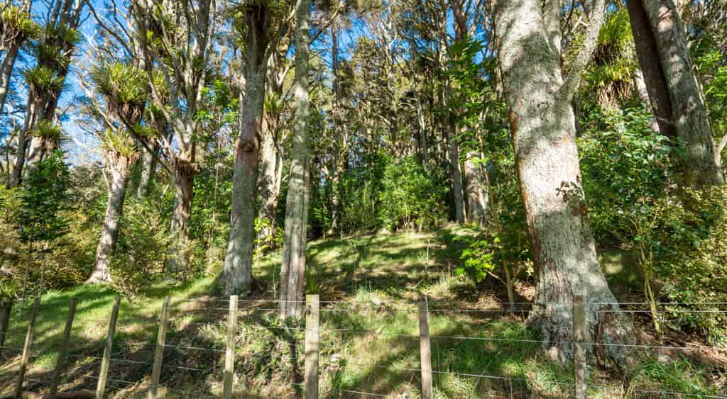 34 Dalkeith Drive, Kauri, Whangarei For Sale realestate.co.nz