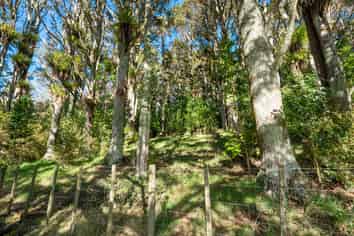 34 Dalkeith Drive, Kauri