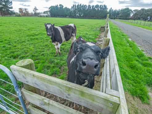 Lot 6 Reid Line East, Aorangi