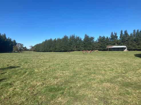  Caldwell Road, Ongaonga