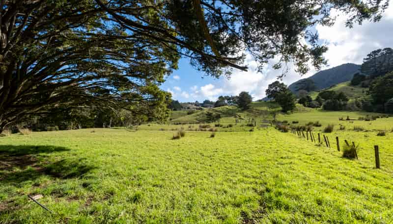 307 Diggers Valley Road, Herekino