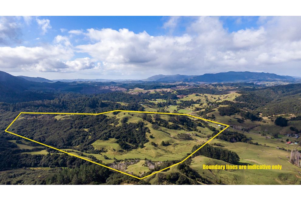 307 Diggers Valley Road, Herekino, Far North For Sale realestate.co.nz