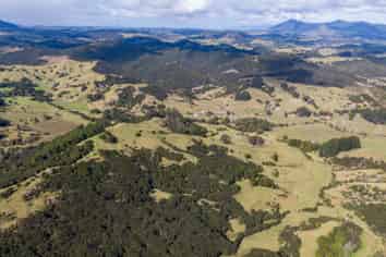 307 Diggers Valley Road, Herekino