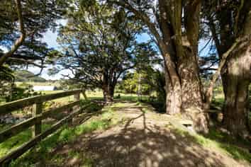 307 Diggers Valley Road, Herekino