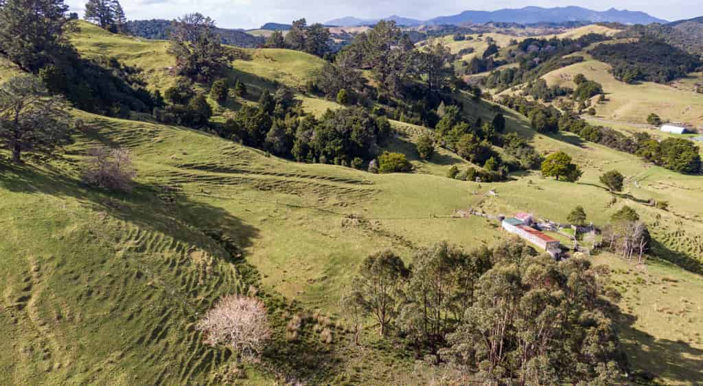 307 Diggers Valley Road, Herekino, Far North For Sale realestate.co.nz