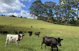 105 (Lot 3 Pungaere Road, KERIKERI