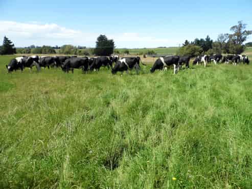691 Kauru Hill Road, Kauru Hill
