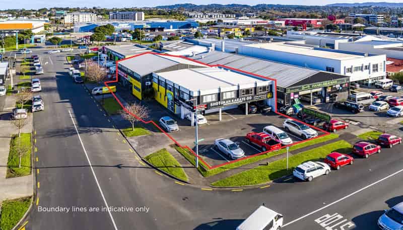 13 Puriri Street, New Lynn
