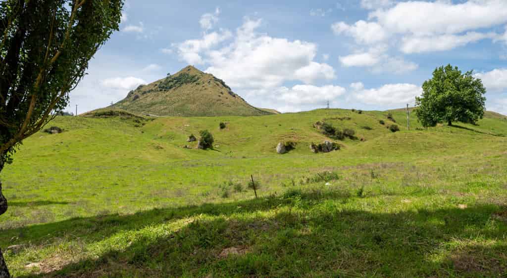 421 Kaahu Road, Whakamaru, Taupo For Sale realestate.co.nz