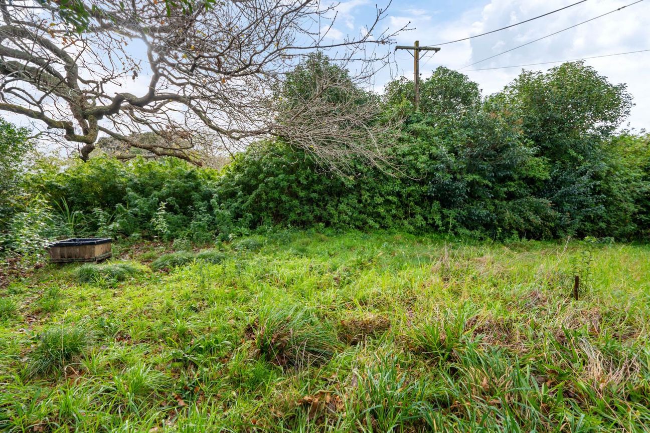 Large Land Holding in Kamo - Ansicht 6