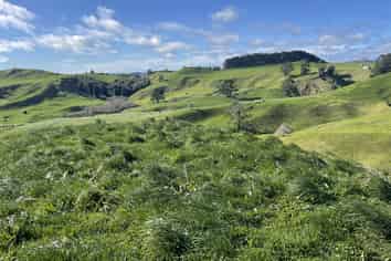 682 Puketawai Road, Otorohanga
