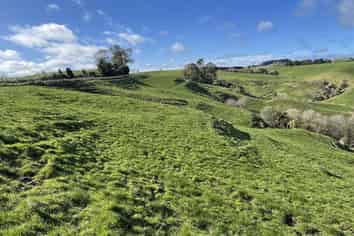 538 Puketawai Road, Otorohanga